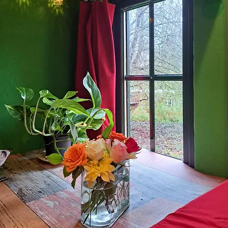 Holiday home Tiny Haus # Sternenblick # Sauna # Wild & Heiss
